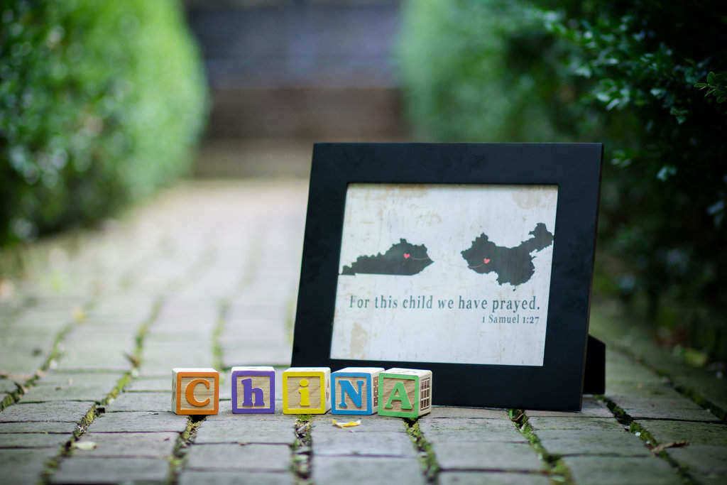 Adoption - For this child I have prayed