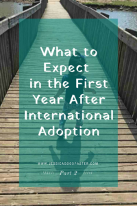 What to Expect in the 1st Year After International Adoption Part 2