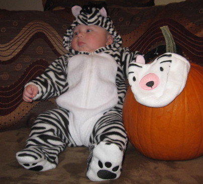 Zebra baby costume, Halloween costume ideas for kids, jessicagoodpaster.com