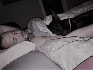 Marriage Confessions: Funny Things I Said I'd Never Do - Letting Dogs Sleep in the Bed