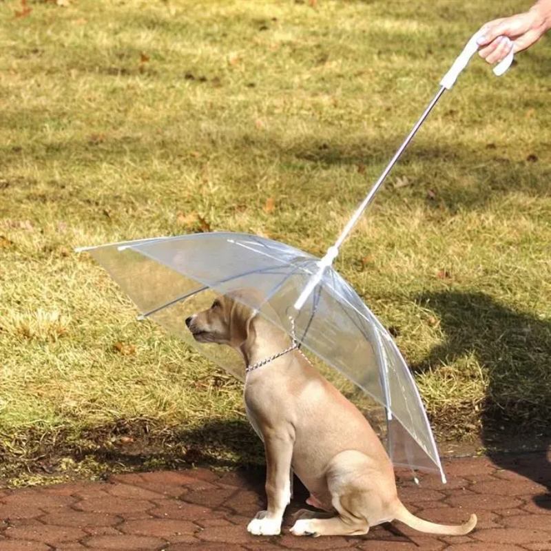 Jane Dog Umbrella Leash