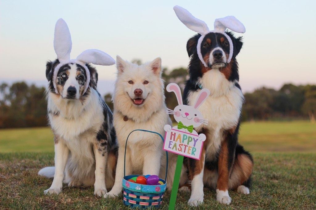 Dogs at Easter Egg Hunt